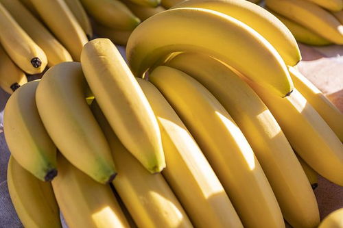 香蕉味产品闻起来 假假的 ,背后却隐藏着香蕉灭绝的危机